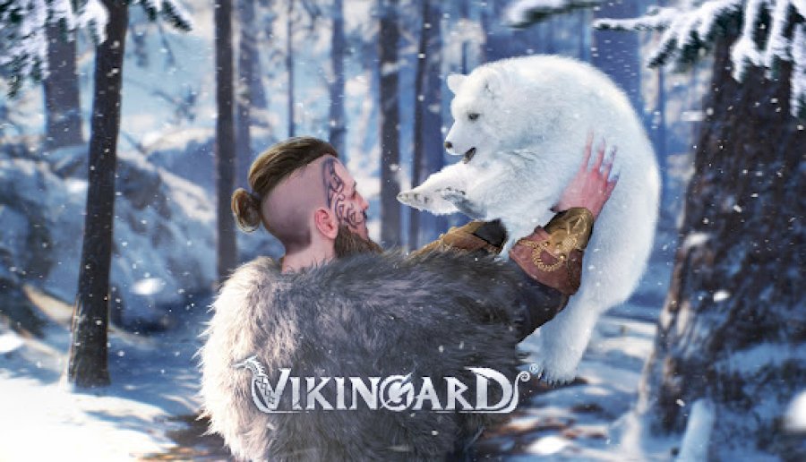 Vikingard capture image